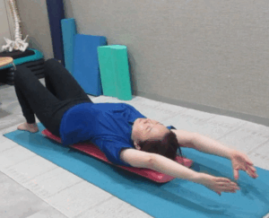 肩甲骨　４００