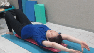 肩甲骨　４００