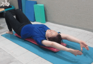 肩甲骨　４００